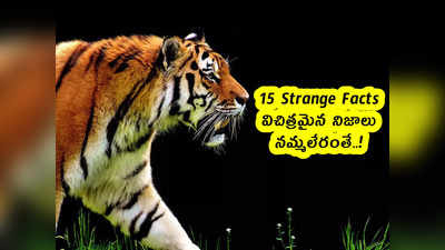 15 Strange Facts: విచిత్రమైన నిజాలు.. నమ్మలేరంతే..! 