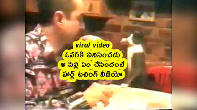 viral video: ఓనర్‌కి వినిపించదు.. ఆ పిల్లి ఏం చేసిందంటే.. హార్ట్ టచింగ్ వీడియో