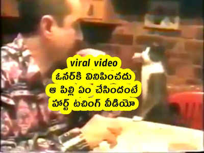 viral video: ఓనర్‌కి వినిపించదు.. ఆ పిల్లి ఏం చేసిందంటే.. హార్ట్ టచింగ్ వీడియో