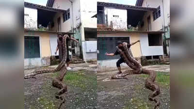 Snake Dance Viral: ...म्हणून हा लय येड्यावानी करतोय! बघा कसा अजगर घेऊन थिरकतोय