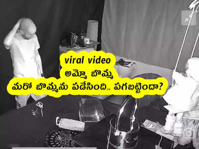 viral video: అమ్మో బొమ్మ.. మరో బొమ్మను పడేసింది.. పగబట్టిందా?