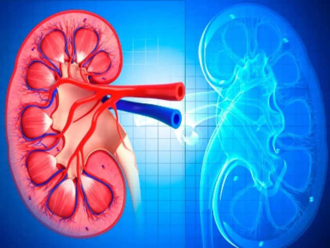 ​சிறுநீரகப் பிரச்சினை (kidney damage)