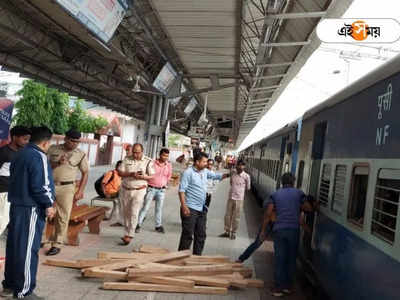 Alipurduar: পাচারের আগেই ট্রেনে উদ্ধার বহু মূল্যের সেগুন কাঠ, গ্রেফতার ২