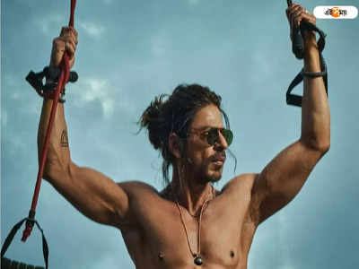 Shah Rukh Khan: শাহরুখের অভিনয় দেখে চোখে জল যশ চোপড়ার, জেনে নিন Veer-Zaara তৈরির নেপথ্য কাহিনি