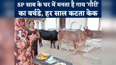 Cow Birthday At IPS Home : इस IPS के घर में गाय का मनता है बर्थडे, गौरी की पूजा के बाद कटता केक, देखें