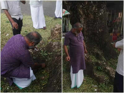 ചുറ്റും തുളകളിട്ട് മെർക്കുറി ഒഴിച്ച് മര മുത്തശ്ശിയെ നശിപ്പിക്കാൻ ശ്രമം; ചികിത്സയുമായി വൃക്ഷവൈദ്യൻ