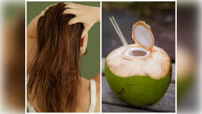 Coconut Water For Hair: तेलाने नाही तर नारळ पाण्याने करा हेड मसाज, केस तिपटीने वाढतील