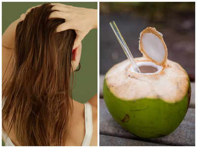 Coconut Water For Hair: तेलाने नाही तर नारळ पाण्याने करा हेड मसाज, केस तिपटीने वाढतील