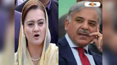 ২ সপ্তাহেই Pakistan-এর অর্থনীতি চাঙ্গা করে দেবেন Shebaz Sharif! দাবি তাঁরই মন্ত্রীর