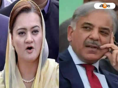 ২ সপ্তাহেই Pakistan-এর অর্থনীতি চাঙ্গা করে দেবেন Shebaz Sharif! দাবি তাঁরই মন্ত্রীর