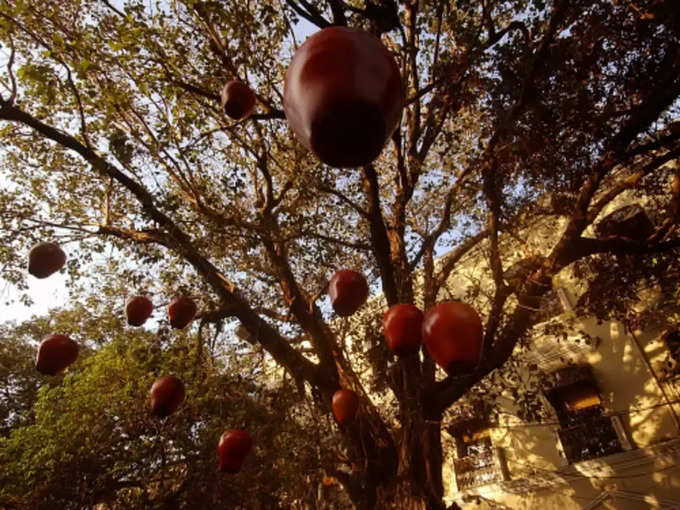 फलों के बाग - Fruit Orchards in Parwanoo