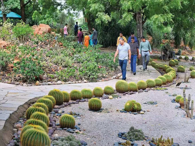 कैक्टस गार्डन - Cactus garden in Parwanoo