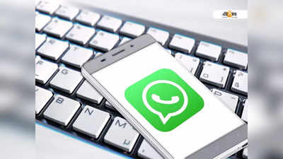 Whatsapp Message Reaction: WhatsApp-এ চালু নতুন এই ফিচার! ব্যবহার করবেন কীভাবে? জানুন