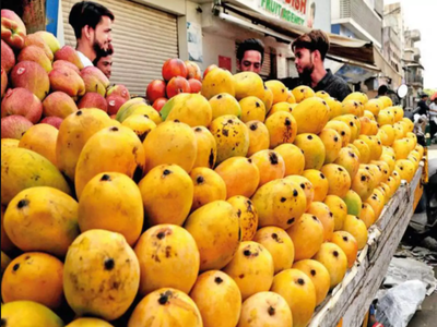 Kesar Mango Price: કેસર કેરીનો સ્વાદ ચાખવા આતુર લોકો માટે સારા સમાચાર, આગામી સમયમાં ભાવમાં થોડો ઘટાડો થવાની શક્યતા