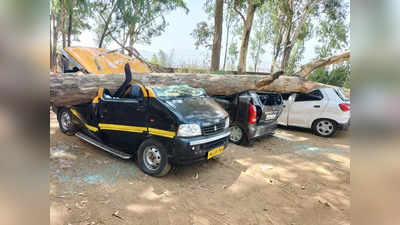 एकविरा देवीच्या पायथ्याशी मोठी दुर्घटना; झाड कोसळल्याने तीन वाहनांचा चुराडा