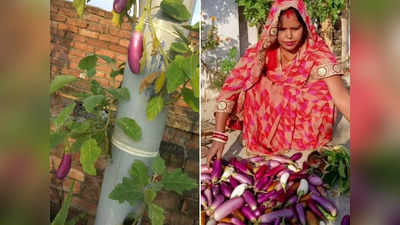 बिहार की महिला ने किया कमाल, पांच फुट की PVC पाइप में उगाती हैं 5 किलो सब्जी