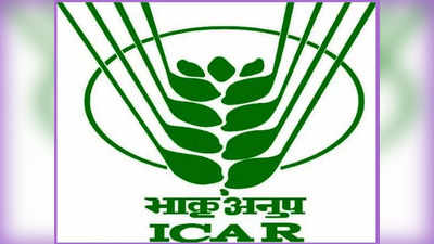 ICAR‌ సంస్థలో 462 అసిస్టెంట్‌ ఉద్యోగాలు.. ఏదైనా డిగ్రీ పాసైన వాళ్లు అర్హులు.. పూర్తి వివరాలివే