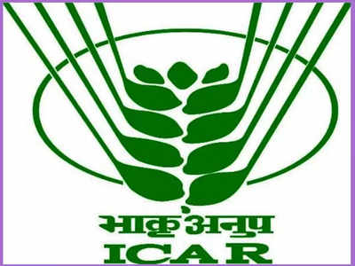 ICAR‌ సంస్థలో 462 అసిస్టెంట్‌ ఉద్యోగాలు.. ఏదైనా డిగ్రీ పాసైన వాళ్లు అర్హులు.. పూర్తి వివరాలివే