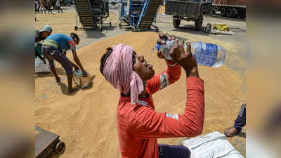 भारत-पाकिस्तान में गर्मी से जा सकती है हजारों लोगों की जान! वैज्ञानिकों ने दी जानलेवा हीटवेव की चेतावनी