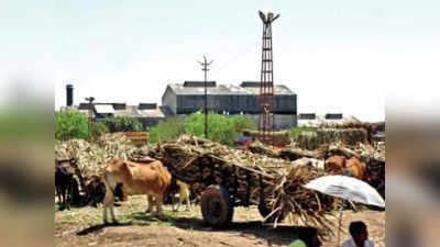 बिगरनोंदीचा ऊस अधांतरी