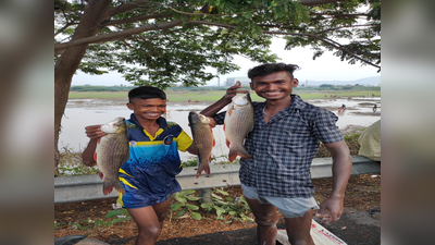 மேலூர் அருகே பாரம்பரிய மீன்பிடி திருவிழா... கோலாகலம் ஆன கண்மாய்!