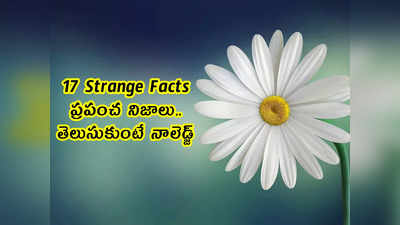 17 Strange Facts: ప్రపంచ నిజాలు.. తెలుసుకుంటే నాలెడ్జ్ 