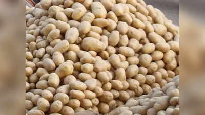 Potato Price Hike: অগ্নিমূল্য চন্দ্রমুখী, পাত থেকে উধাও হবে বাঙালির প্রিয় আলুসেদ্ধ?
