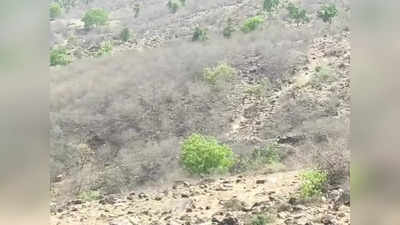 एमपी में पन्ना के बाद इस जिले की धरती भी उगलेगी हीरा, जानें कहां-कहां की जमीन हुई चिह्नित