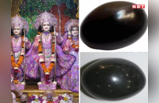 Shaligram Puja Benefits: शलिग्राम पूजा के इतने हैं फायदे, तभी तो इनसे बनेगी रामलला की मूर्ति