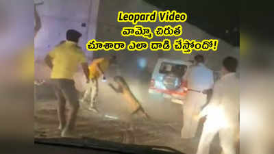 Leopard Video: వామ్మో చిరుత.. చూశారా ఎలా దాడి చేస్తోందో!