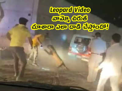Leopard Video: వామ్మో చిరుత.. చూశారా ఎలా దాడి చేస్తోందో!