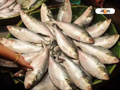 Hilsa Fish: বাঙালির পাতে সারা বছর ইলিশ ? চমক দিতে পারে মুর্শিদাবাদ জেলা প্রশাসন