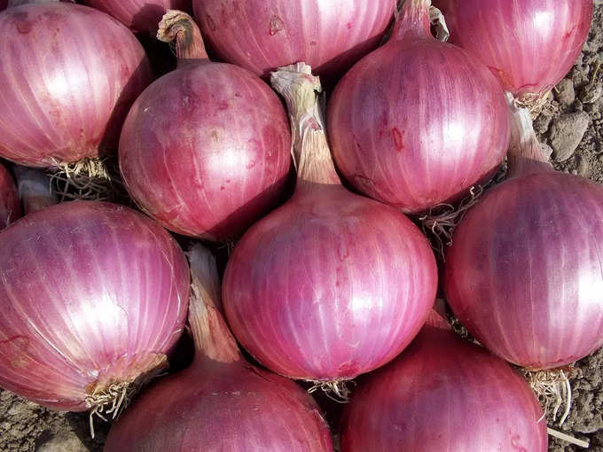 ​வெங்காயம் (onion)