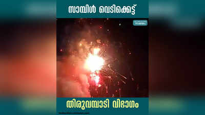 കനത്ത സുരക്ഷയില്‍ പൂരനഗരി