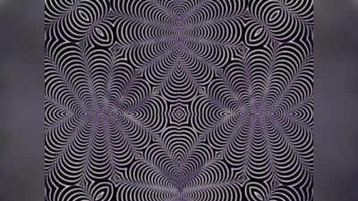 Optical Illusion: 99.9 परसेंट लोग नहीं बता पा रहे इस फोटो में क्या छुपा है, लेना चाहोगे चैलेंज?