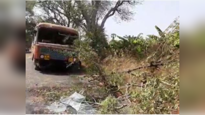 जळगाव : धावत्या बसवर भलामोठा वृक्ष कोसळला, १२ प्रवासी जखमी