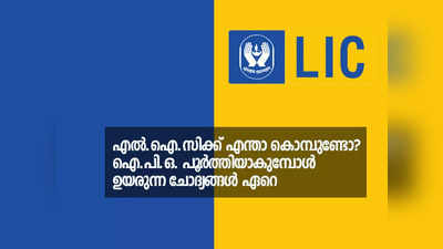 അ‌സാധാരണം, അ‌പ്രതീക്ഷിതം; ഇടപെടലുകൾ കൊണ്ട് ശ്രദ്ധനേടി എൽ.ഐ.സി. ഐ.പി.ഒ.