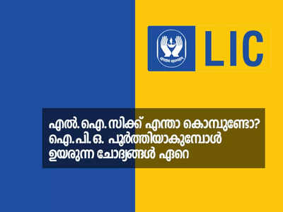 അ‌സാധാരണം, അ‌പ്രതീക്ഷിതം; ഇടപെടലുകൾ കൊണ്ട് ശ്രദ്ധനേടി എൽ.ഐ.സി. ഐ.പി.ഒ.