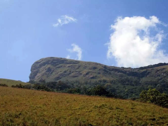 ಕುದುರೆ ಮುಖ