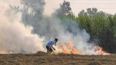 Delhi Pollution News: दिल्लीवालों को गर्मियों में भी तंग कर रहा है प्रदूषण, अभी तक जारी है पराली जलाने का सिलसिला