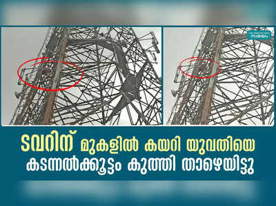 ടവറിന് മുകളിൽ കയറി യുവതിയെ കടന്നൽക്കൂട്ടം കുത്തി താഴെയിട്ടു