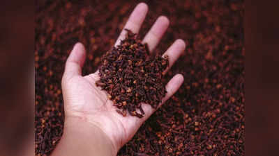 benefits of cloves for men: లవంగాలు తింటే.. స్మెర్మ్‌ కౌంట్‌ పెరుగుతుందా..! 