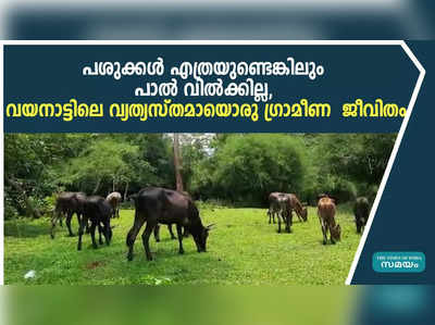 പശുക്കൾ എത്രയുണ്ടെങ്കിലും പാൽ വിൽക്കില്ല, വയനാട്ടിലെ വ്യത്യസ്തമായൊരു ഗ്രാമീണ  ജീവിതം