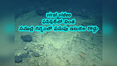 viral video: పసిఫిక్‌‌లో వింత.. సముద్ర గర్భంలో పసుపు ఇటుకల రోడ్డు