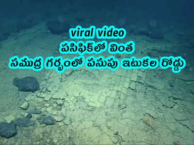 viral video: పసిఫిక్‌‌లో వింత.. సముద్ర గర్భంలో పసుపు ఇటుకల రోడ్డు