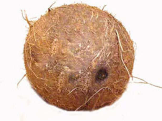 रोग व संकट में आजमाएं नारियल के आसान टोटके