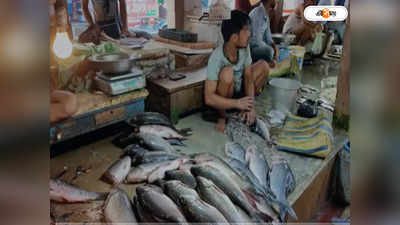 Digha Hilsa Price: ২ মাস সমুদ্রে মাছ ধরার উপর নিষেধাজ্ঞা, দিঘায় অমিল ইলিশ! বাড়বে মাছের দাম?