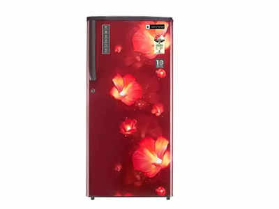 Realme Refrigerator: रियलमीचा धमाका! फक्त १२,५०० रुपयात लाँच झाला शानदार फ्रीज, मिळतील अनेक सुविधा