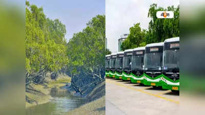 Sundarbans: সুন্দরবনে রাস্তা থেকে উধাও বাস! মালিক সংগঠনের সিদ্ধান্তে চিন্তায় পর্যটক-হোটেল মালিকরা