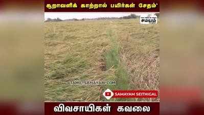 சூறாவளி காற்று; நெற் பயிர்கள் டேமேஜ்; விவசாயிகள் கவலை!